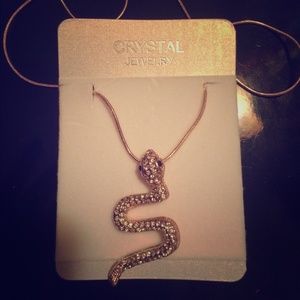 Silver snake necklace