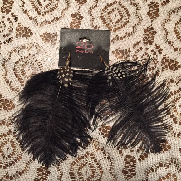 Feather Earrings