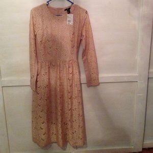 Pink Lace H & M Dress NWT