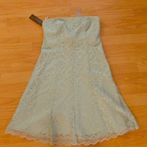 Ann Taylor lace, strapless dress, 6P