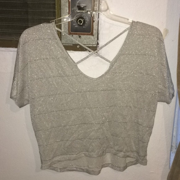 Mauve Shimmery Crop Top!