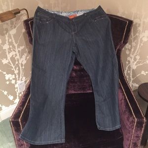 Plus Size Jeans - Abby Z - Brand New - Size 24W