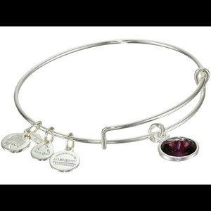 Alex and ani february birthstone charm bracelet