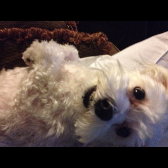 Meet your seller! - Picture 2 of 2