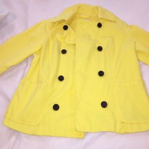Yellow Jacket