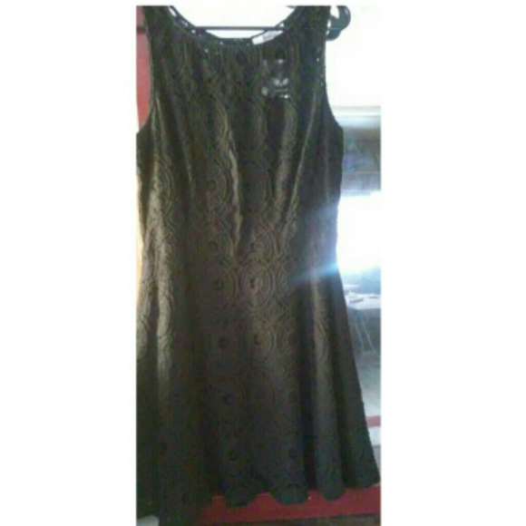 bb dakota black lace dress