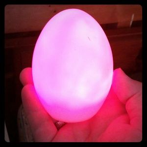 Egg light