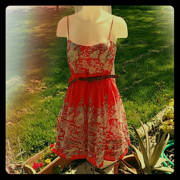 B darling summer coral floral mini dress