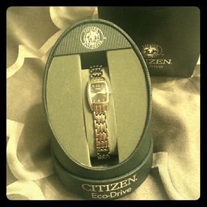 Beautiful Citizens Eco Drive Watch