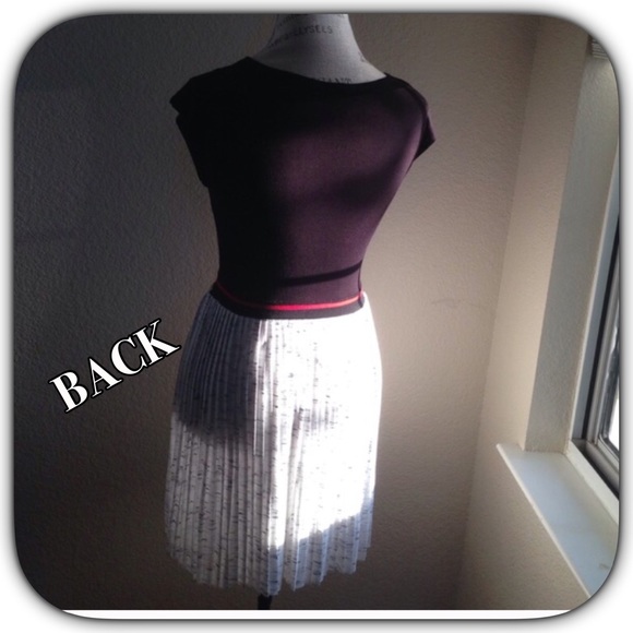 🎈COLOR BLOCK, PLEATED DRESS🎈 - Picture 3 of 3