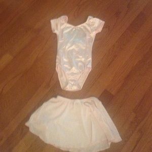 Pink Leotard and Skirt Set