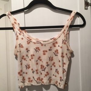 Brandy Melville Crop Top
