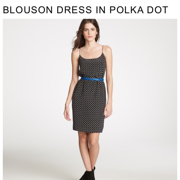Silk polka dot dress from J. Crew holiday 2011