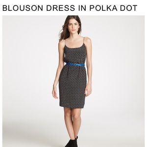 Silk polka dot dress from J. Crew holiday 2011