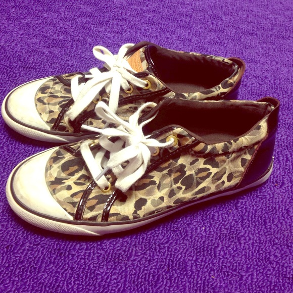 Coach sneakers