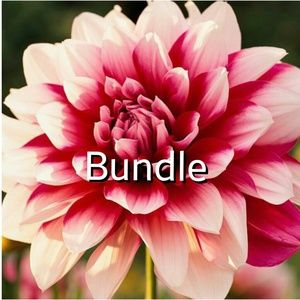 Bundle