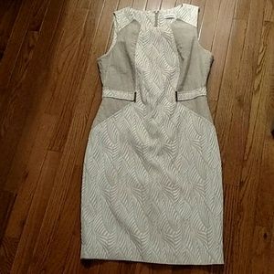 Calvin Klein Dress