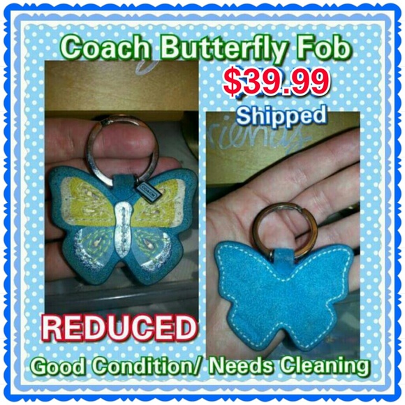 Rare butterfly fob