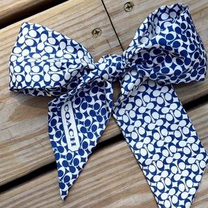 Coach Ribbon (blue and white)