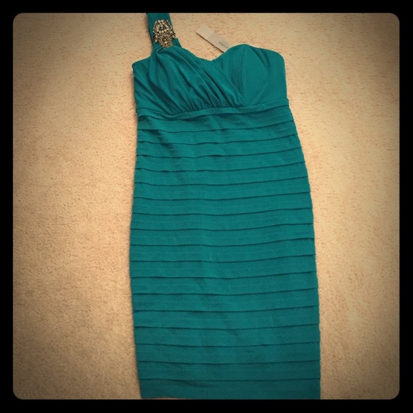 A Pea in the Pod special occasion maternity dress