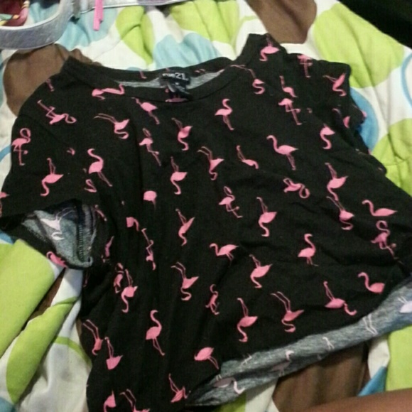 Rue 21 Flamingo Crop Top