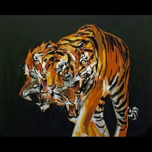 Converse and Vans Bundle