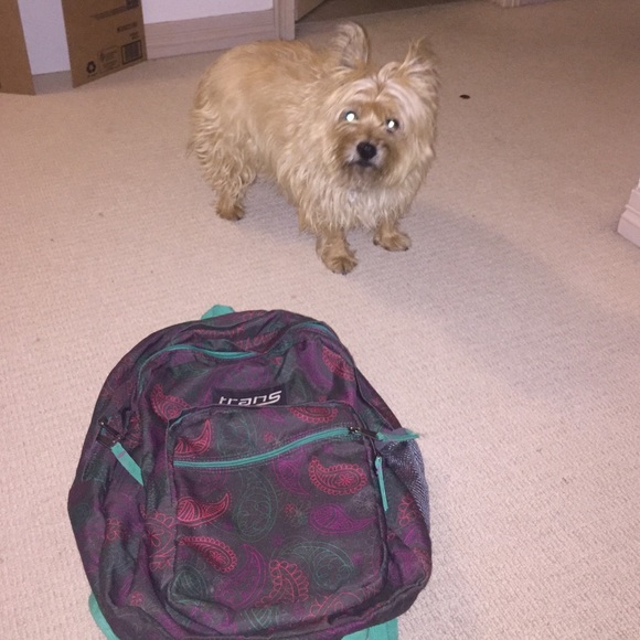 jansport backpack