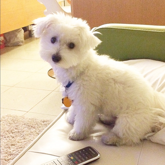 💐🌻Meet your seller 🌻💐 - Picture 3 of 3