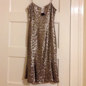 Banana republic silver sequin dress