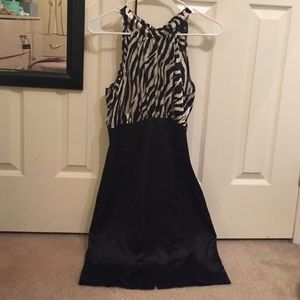 Zebra Dress