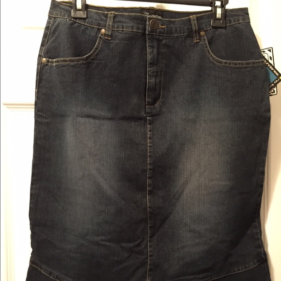 NWT really nice skirt (Reduced price)
