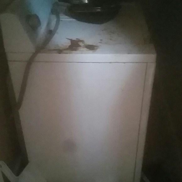 Dryer - Picture 1 of 1