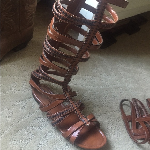 Colin Stuart knee high gladiator sandals