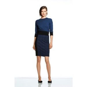 Banana Republic Pencil Skirt