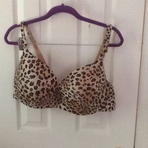 46 C leopard bra