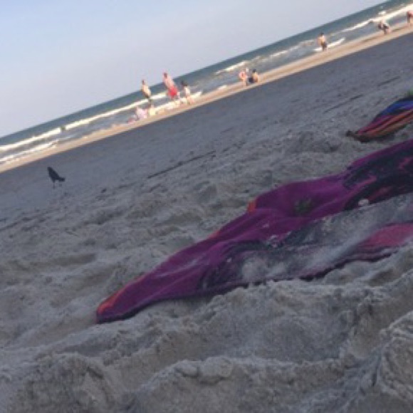 🌿TRADE🌿 Brandy top.