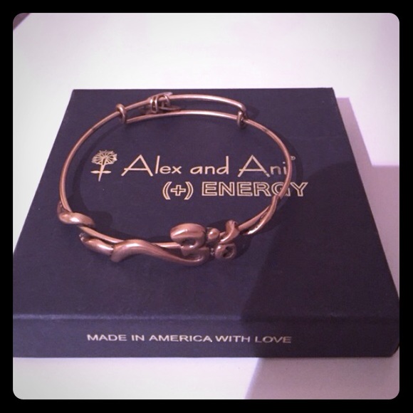 Alex and ani om bangle