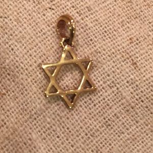 Stella&Dot Star of David Charm