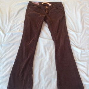 Union Bay black pants