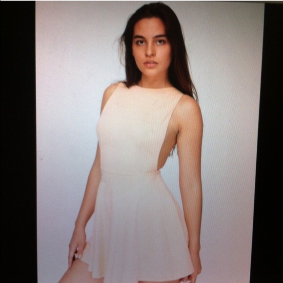 American Apparel Dresses & Skirts - American Apparel Skater Dress