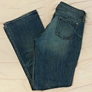 Banana Republic  modern boot cut  size 10 petite
