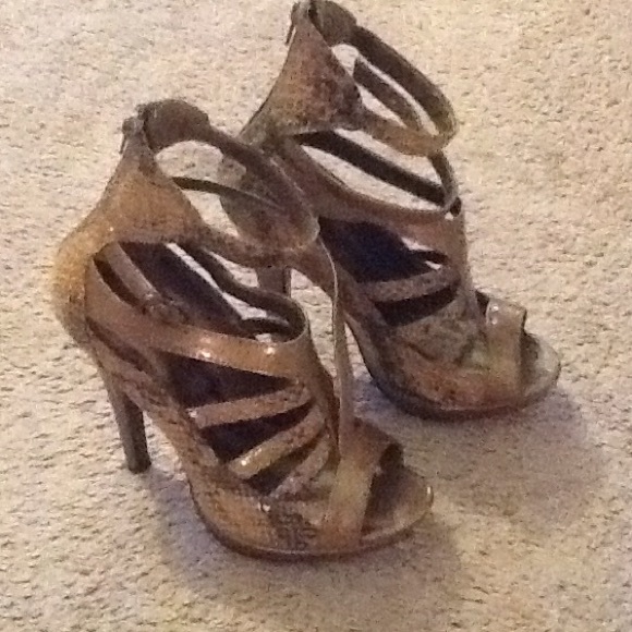 Bronze color snake size 6