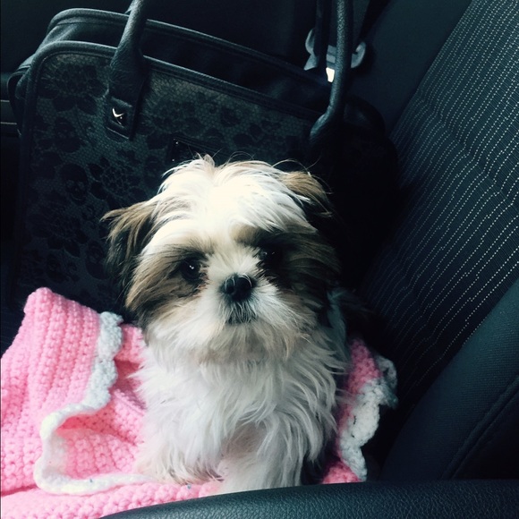 Meet your seller/buyer! - Picture 2 of 4