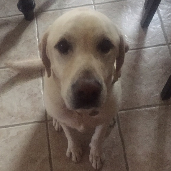 Meet your seller/buyer! - Picture 3 of 4