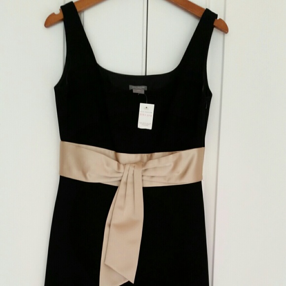 Ann Taylor Dress