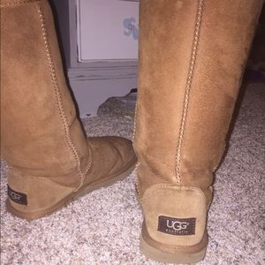 Tall chesnut uggs. Sz 6