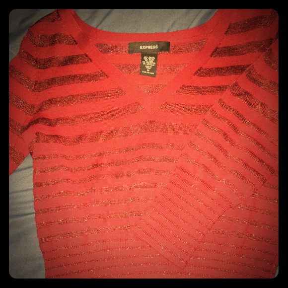 Express sheer sweater