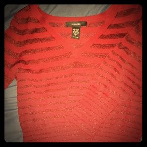 Express sheer sweater