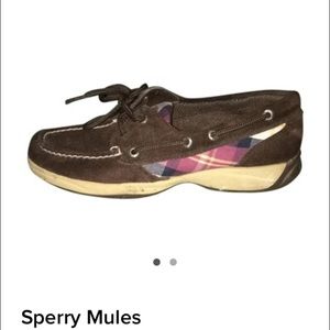 Sperry