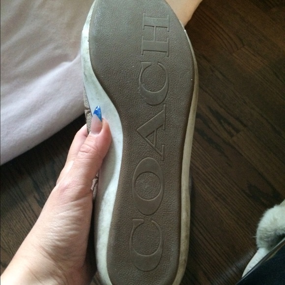 Authentic coach shoes - Picture 3 of 3